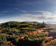 calimani si pietrele rosii (12)
