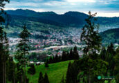 vatra dornei (16)