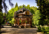 vatra dornei (4)