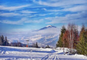 vatra dornei (8)