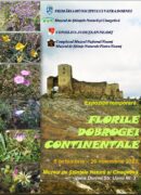 florile dobrogei