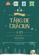 targ craciun 2023