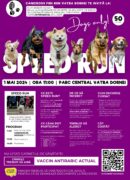 dogs speed run