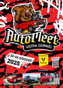 AMVD - 2024.08 - grafica poster 02