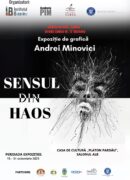 sensul din haos